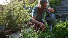 Il segreto dei giardinieri italiani: quando annaffiare per piante splendide