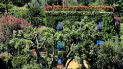 Le siepi commestibili trasformano il tuo giardino in un'oasi di biodiversità