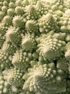 Primo piano di un mazzo di broccoli freschi e verdi