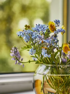 Vaso con fiori colorati su sfondo neutro