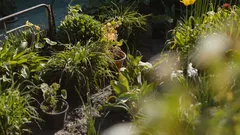 A chi ama l’orto svelo come il compost regala un giardino rigoglioso