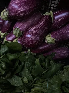 Melanzane viola impilate su foglie verdi fresche