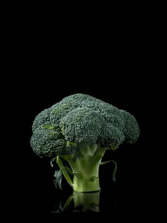 Broccoli verde fresco su sfondo neutro per fotografia culinaria