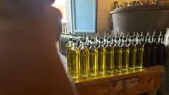 Gli amanti del buon cibo scoprono i frantoi sardi custodi di oro liquido
