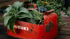 Fertilizzanti naturali ti regalano un’esplosione di colori con zero sprechi