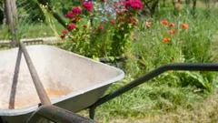 Scopri come la pacciamatura trasforma il tuo orto con meno acqua