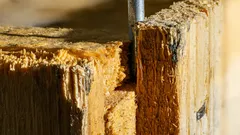 Olio di neem: il segreto naturale per proteggere i mobili in legno