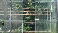 Teli riflettenti isolanti mantengono la casa luminosa e fresca d'estate