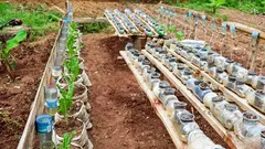 Scegli i legumi e risparmia acqua proteggendo il tuo terreno