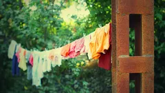 Chi cura la casa elimina i cattivi odori dal bucato con gesti naturali