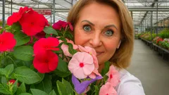 Aiuole in fiore anche con la siccità: i fiori segreti da scoprire