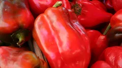 Mucchio di peperoni rossi freschi al mercato in Francia