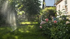 Appassionati di piante scoprite il segreto per un verde sempre rigoglioso