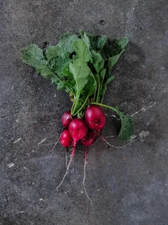 Verdura rotonda rosa fresca su sfondo bianco