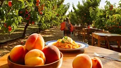Chi soffre di allergie primaverili ritrova sollievo scoprendo il legame tra pollini e pesche