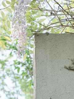 Uccello appollaiato all'angolo di un edificio in città