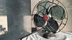 Chi vuole una casa fresca adotta i segreti delle nonne contro il caldo