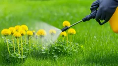 Il potente rimedio naturale che elimina le erbacce e protegge il tuo giardino