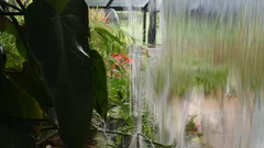 Famiglie attente scelgono il recuperatore d’acqua piovana per giardini verdi e bollette leggere