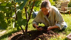 Il segreto dei fichi dolcissimi: compost naturale per un raccolto eccezionale