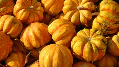 Zucca arancione su tavolo di legno marrone