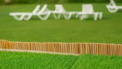 Prato verde e rigoglioso anche in estate: svela i segreti dei giardinieri