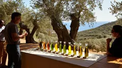 Gli amanti dell’olio scoprono l’eccellenza sarda dell’Oleificio Podda tra tradizione e innovazione