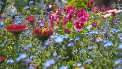 Il trucco dei 2 minuti che trasforma il giardino in agosto