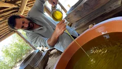 Scopri come i frantoi sardi trasformano l’olio extravergine in benessere autentico