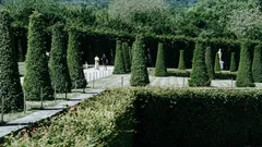 Appassionati di giardinaggio realizzano una pergola DIY e risparmiano oltre 2.000 euro