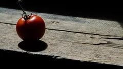 Piccole abitudini che salvano i pomodori dalla cladosporiosi ogni anno