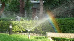 Una semplice modifica all’irrigazione trasforma le ortensie del tuo giardino