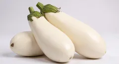 Melanzane bianche nell’orto: sapore unico e benefici per la salute