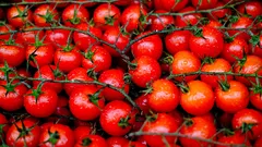 Accelera la maturazione dei tuoi pomodori e godili più saporiti
