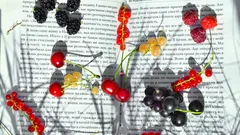 Giardinieri attenti riscoprono l’amelanchier per un’estate ricca di vita