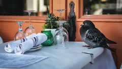 Gli italiani riscoprono la masticazione consapevole per perdere peso con equilibrio
