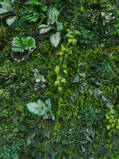 Primo piano di una parete verde con piante rigogliose
