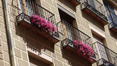 Gli amanti dei balconi scoprono la dipladenia che regala fioriture da sogno