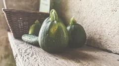 Scopri come mantenere fresche le zucchine raccolte dal tuo orto