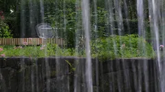 Chi ama il verde urbano scopre il vantaggio del giardino di pioggia sostenibile