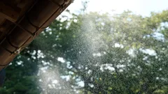 Proteggi la tua casa dall’umidità dopo i temporali con metodi rapidi ed efficaci
