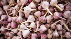 Come essiccare correttamente l'aglio: un metodo semplice per conservare a lungo l'aroma