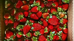 Scopri il momento magico per piantare fragole dolci nel tuo giardino