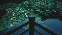 Risparmia acqua e ottieni un giardino più rigoglioso annaffiando di notte