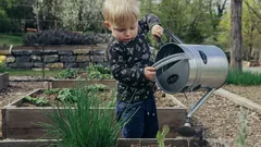Scopri i segnali che salvano il tuo giardino e riducono sprechi d’acqua
