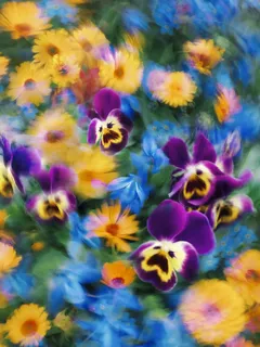 mazzo di fiori bianchi tra erba verde in campo