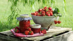 Basta pochi tagli e avrai fragole succose e resistenti ogni anno
